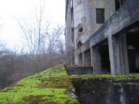 IMG_3555.jpg IMG_3555.jpg