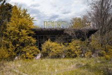 overgrown_cafe_pripyat (2017) Kopie.jpg