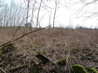 Gleisreste Richtun Wald hohe Brücke.jpg