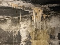 obscura1685043752990.jpg