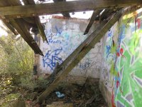 IMG_1081.JPG IMG_1081.JPG