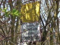 CIMG6552.JPG