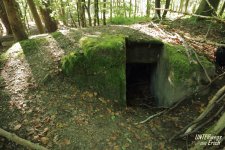 Bunker_Bahnh_Forsbach_06-202410.JPG Bunker_Bahnh_Forsbach_06-202410.JPG