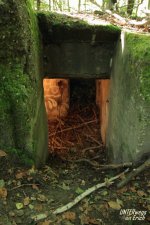 Bunker_Bahnh_Forsbach_07-202410.JPG Bunker_Bahnh_Forsbach_07-202410.JPG