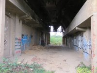 IMG_1844.JPG IMG_1844.JPG