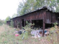 IMG_1701.JPG IMG_1701.JPG