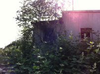 IMG_1217.JPG IMG_1217.JPG