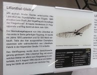 1-IMG_0332.JPG