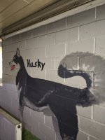IMG_20250426_100634.jpg