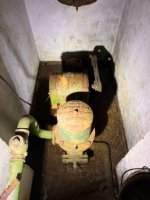 IMG_3467.jpeg