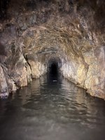 IMG_3485.jpeg
