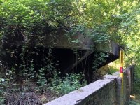 IMG20250510160645.jpg