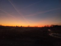 20250303_184046.jpg