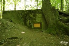 Buhlert_Bu-131_F01-202505.JPG