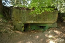 Buhlert_Bu-135_F02-202505.JPG