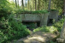 Buhlert_Bu-132_F01-202505.JPG