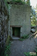 Buhlert_Bu-132_F12-202505.JPG