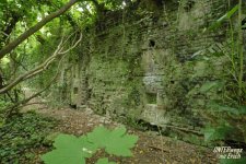 Fort_VII-F11_202505.JPG