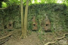Fort_VII-F12_202505.JPG