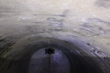 IMG_2310.JPG
