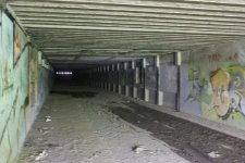 IMG_2384.JPG