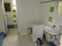 382-IMG_4790.JPG