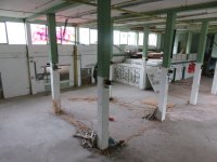 313-IMG_4180.JPG