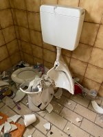 IMG_4806.jpeg