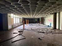 IMG_4867.jpeg