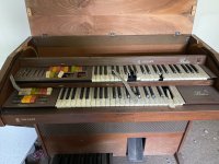 IMG_4922.jpeg