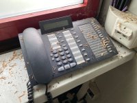 IMG_4929.jpeg