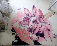 1-355-IMG_4222.JPG