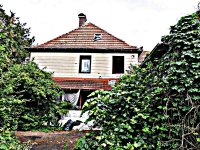1-686-IMG_3854.JPG