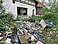 1-664-IMG_3832.JPG