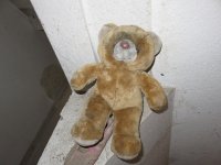 635-IMG_3803.JPG