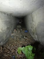 IMG20250523185102.jpg