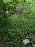 IMG20250523190104.jpg