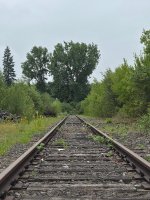 20250624_161841.jpg