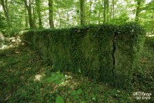 Rennweg_KöFo_F08-202507.JPG Rennweg_KöFo_F08-202507.JPG