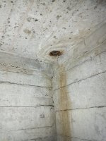 IMG20250706102751.jpg