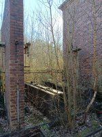 IMG20250216135535.jpg