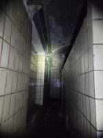 20250628_112908.jpg