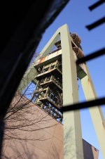 IMG_2858.JPG