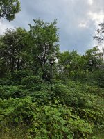 20250729_162551.jpg