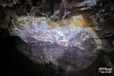 CU-Berg_F24B-202507.JPG