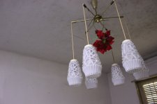 IMG_3016.JPG