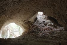 IMG_2996.jpg