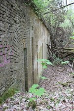 IMG_2982.JPG