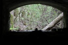 IMG_2981.JPG