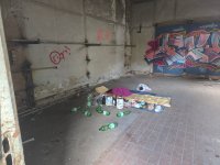 20250806_151611.jpg